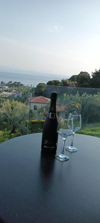 Melina Skiathos photo