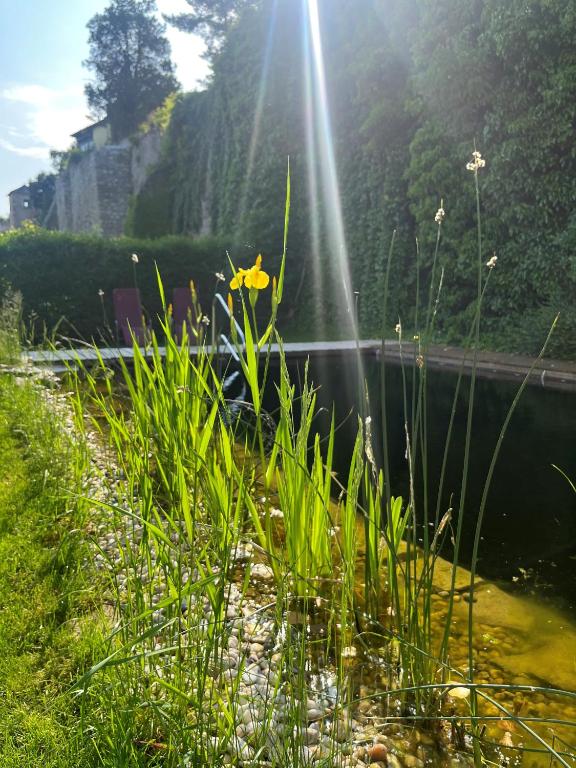 Gasthof zum Goldenen Anker photo