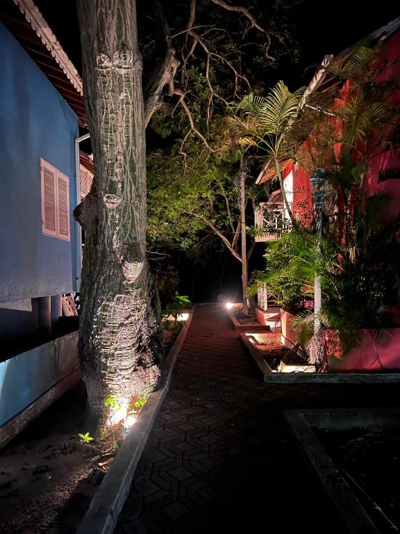 Secreto Hostel photo