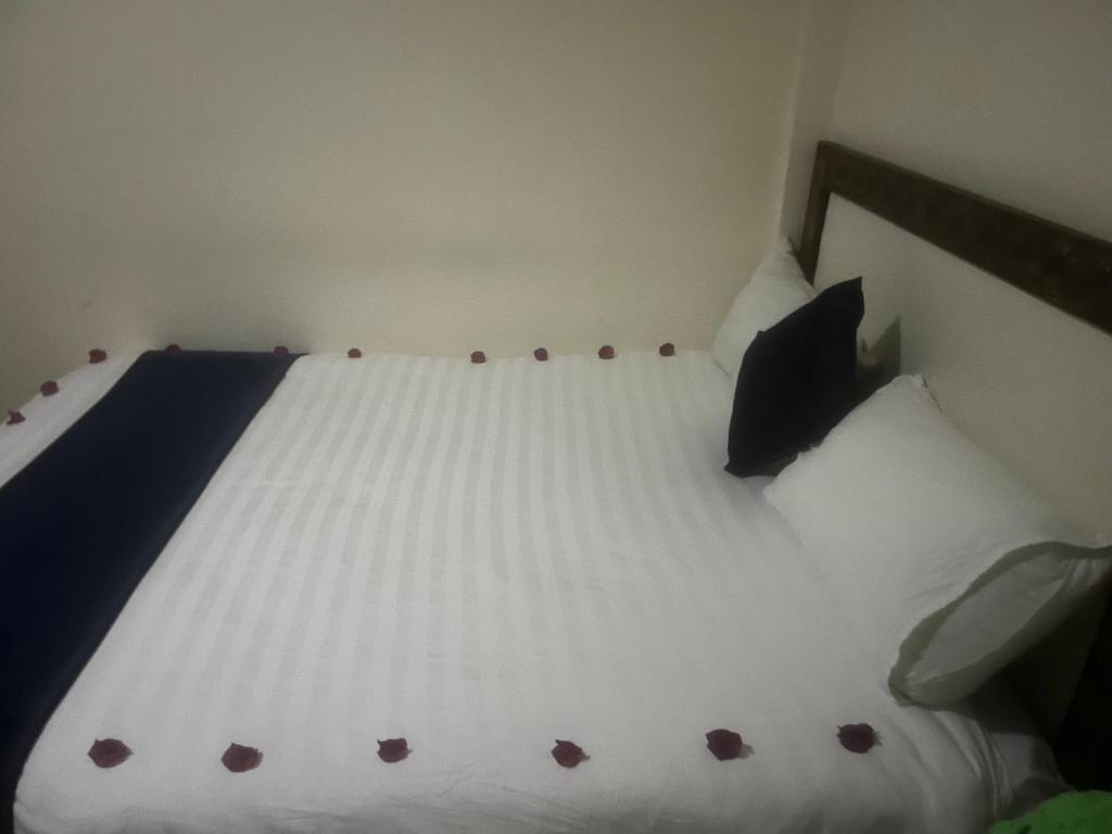 FikirandRay Lodge photo