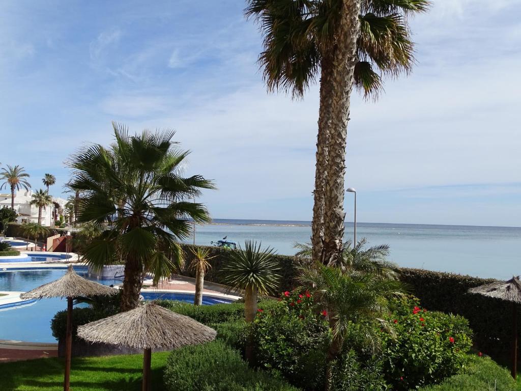 P Cormoran 3226, San Blas