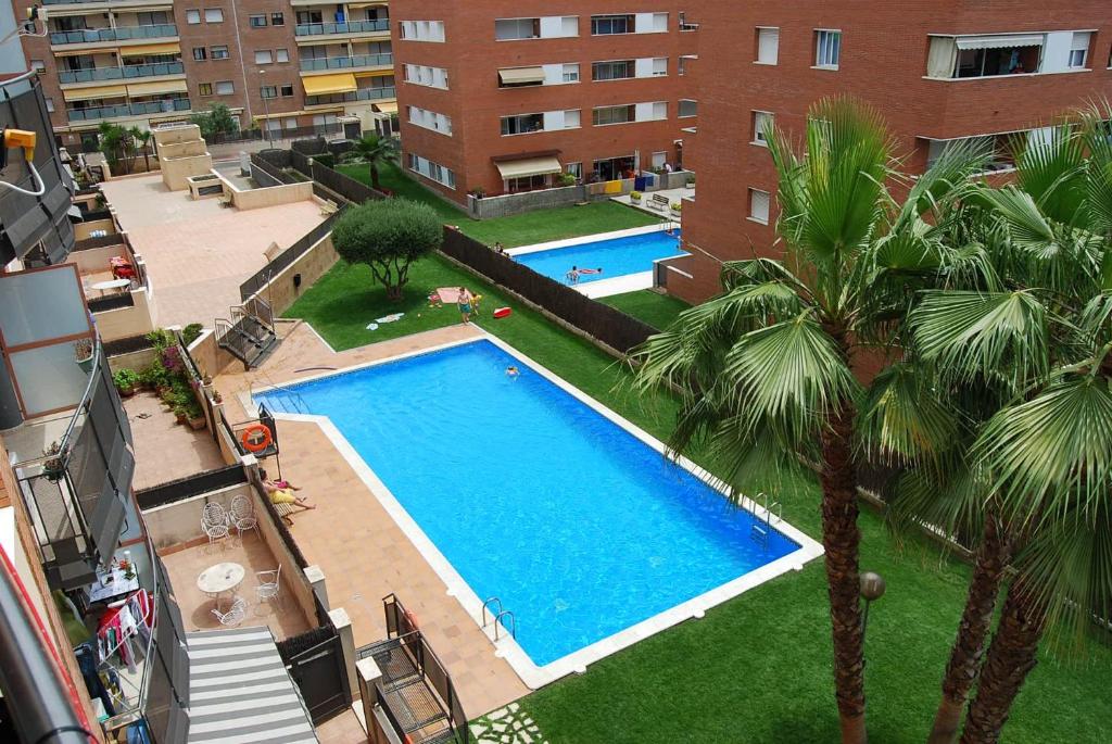 Camelia Apartment - 2