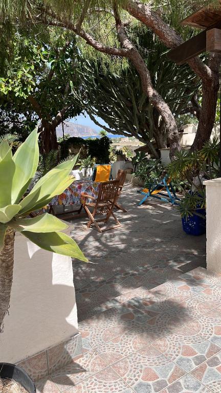 Il GIARDINO della FALENA - 3