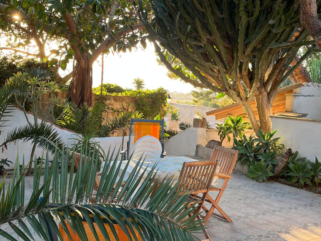 Il GIARDINO della FALENA - 2
