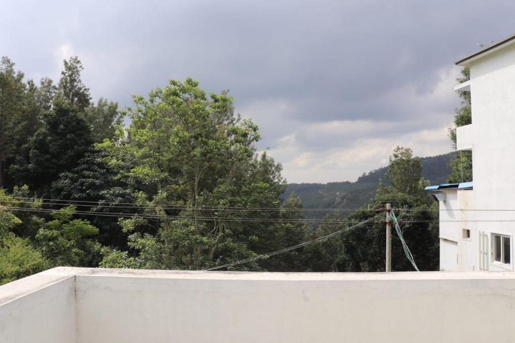 Mount Elite Home Stay photo
