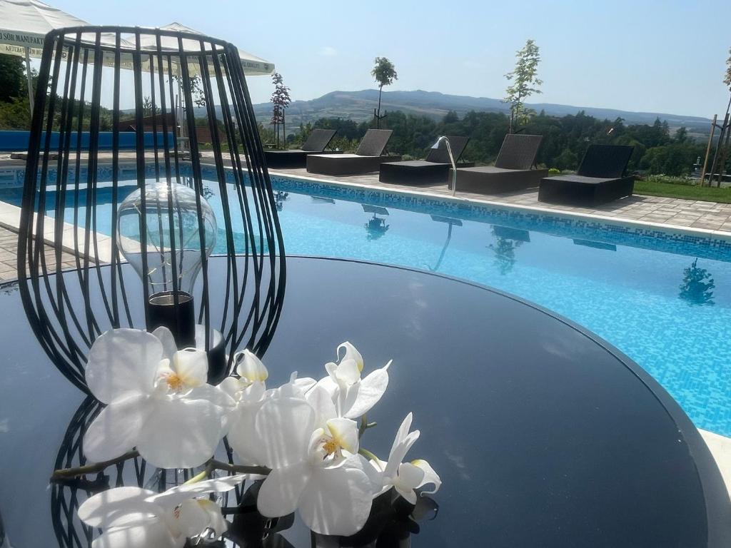Hotel Relax Sovata photo