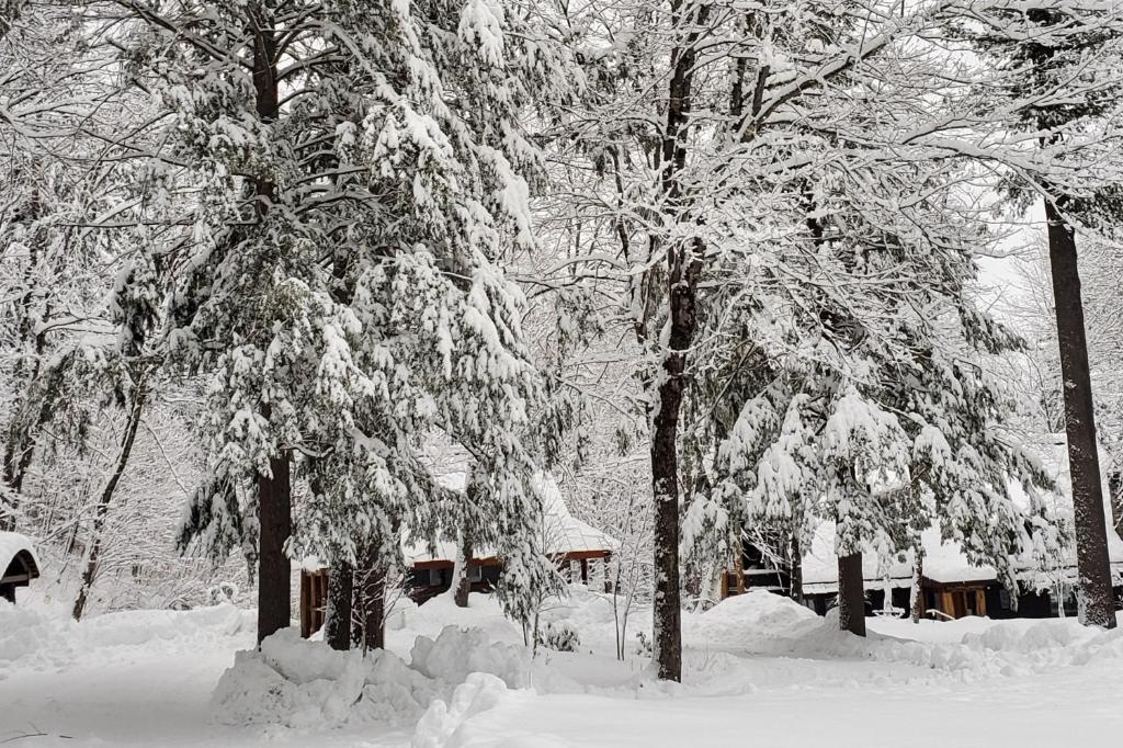 Upper Pines Lodge photo