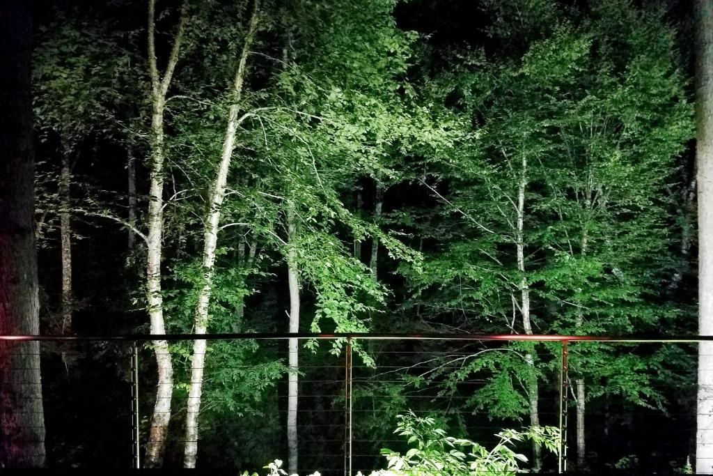 Upper Pines Lodge photo