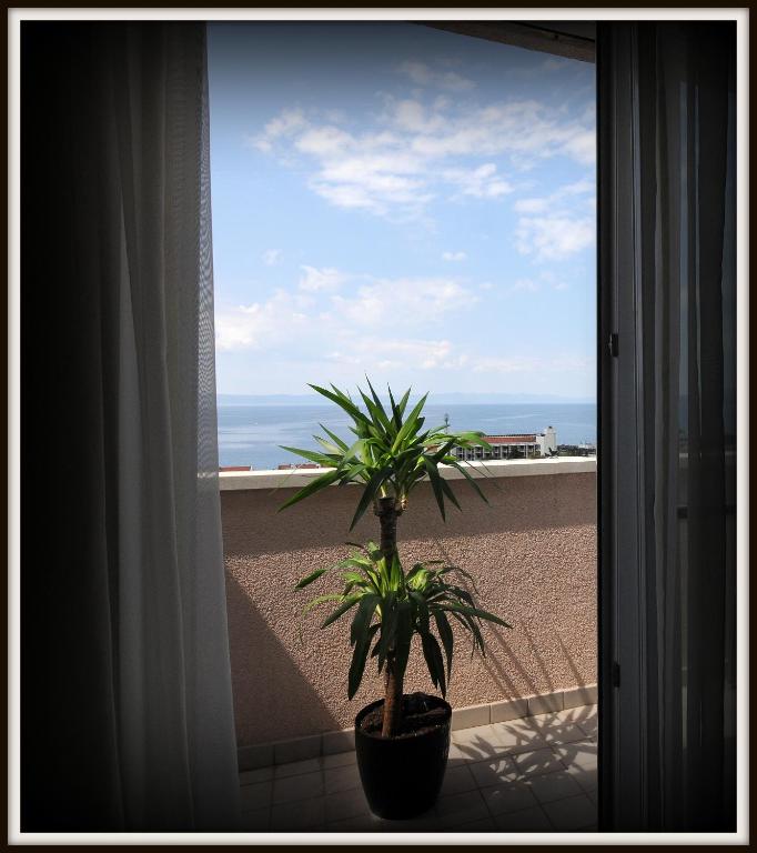 Hotel Rosina — Hotel rooms in Makarska, Split-Dalmatia