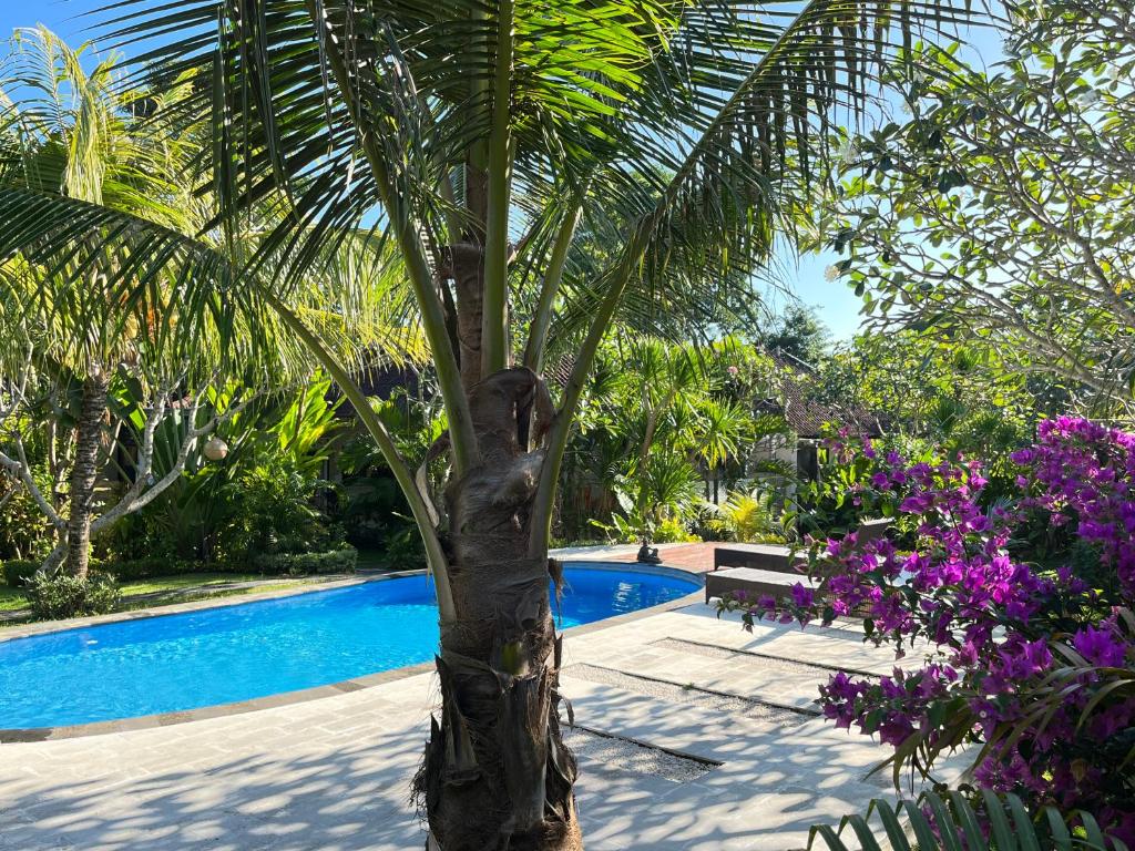 Adi's Bungalow photo