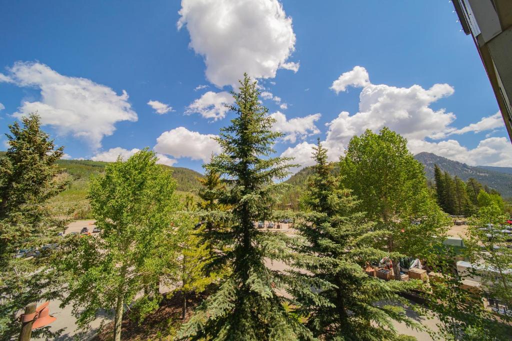 One Bedroom Condos in Silver Mill photo