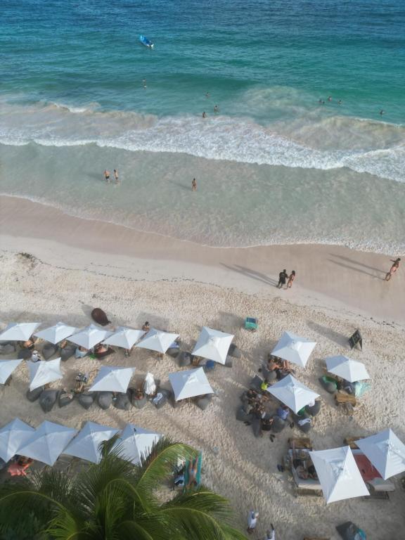 Cinco Tulum photo
