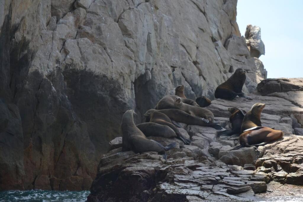 Chic Marina 2BR condo with Pool Access - 4