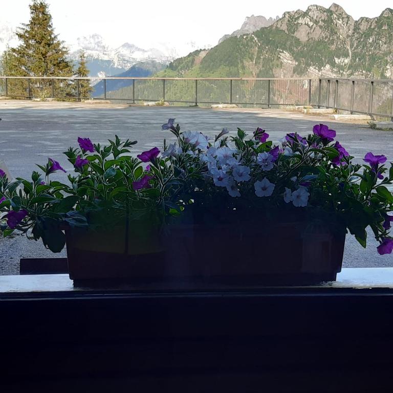 Perla Dolomiti Falt - 3