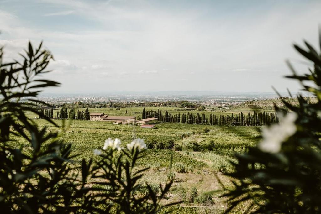 Merumalia Wine Resort photo