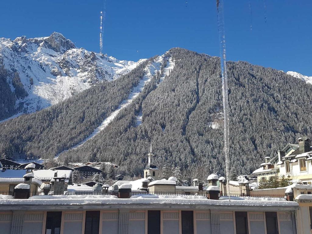 Magnifique appartement centre-ville - Animaux admis, WiFi - FR-1-517-37 - 4