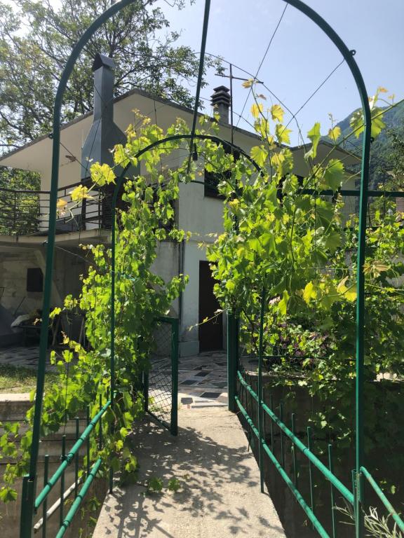 Kuca za odmor DIVA - 4