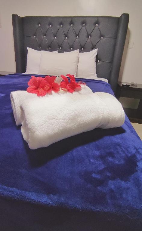 Acuarium Suite Resort photo