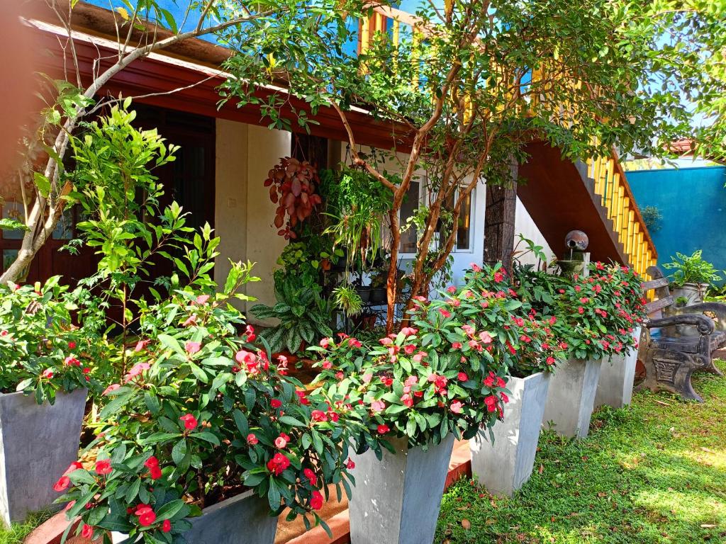 Raj Mahal Inn photo