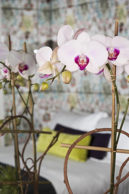 편의 시설/서비스