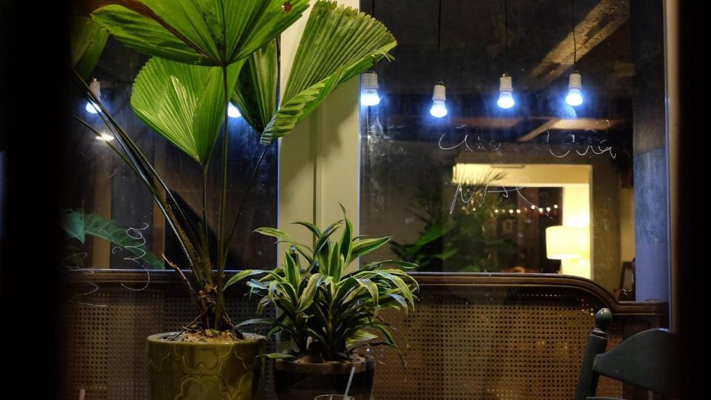 Fika stays Hoi An by Mottainaihoian – Vietnamese only