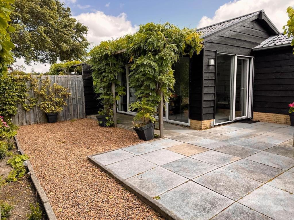 Ảnh 5