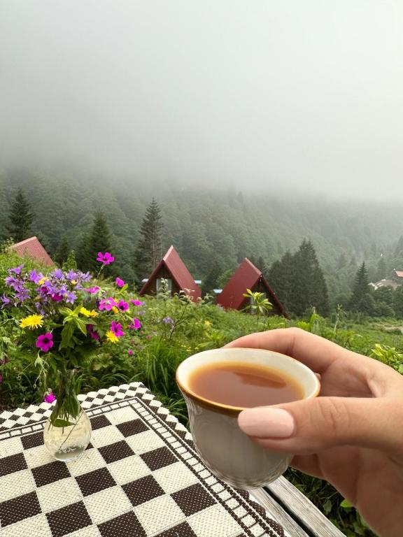 Ayder Villa Gencal photo