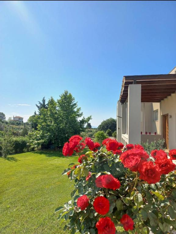 Villa Afroditi LUX — Hotel in Pýrgos