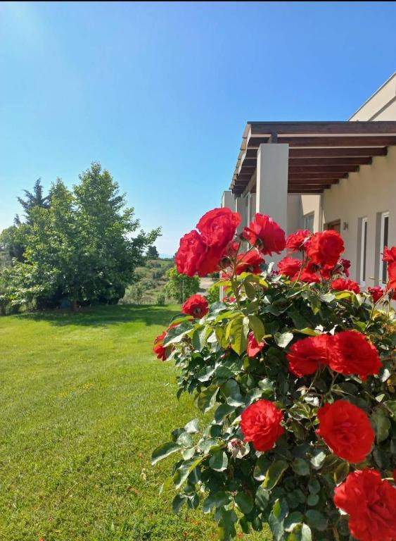 Villa Afroditi LUX photo