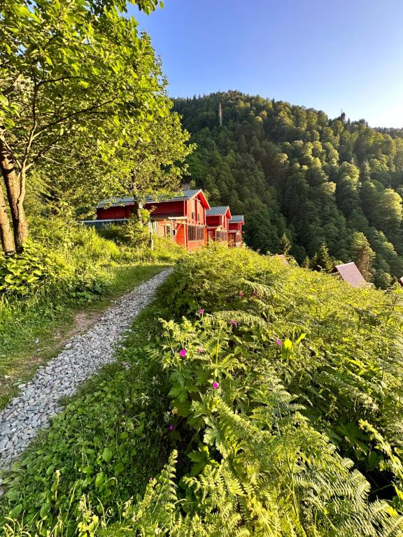 Ayder Villa Gencal photo