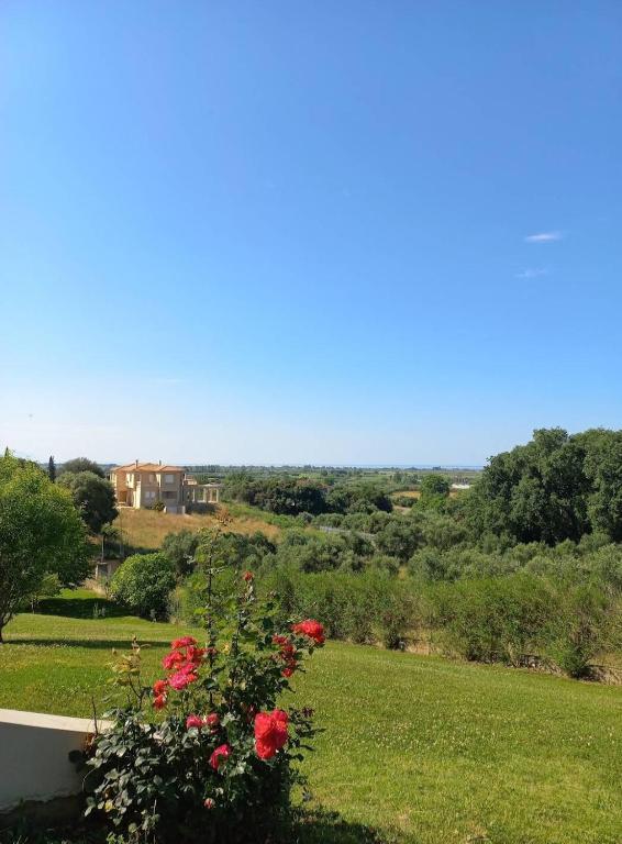 Villa Afroditi LUX photo