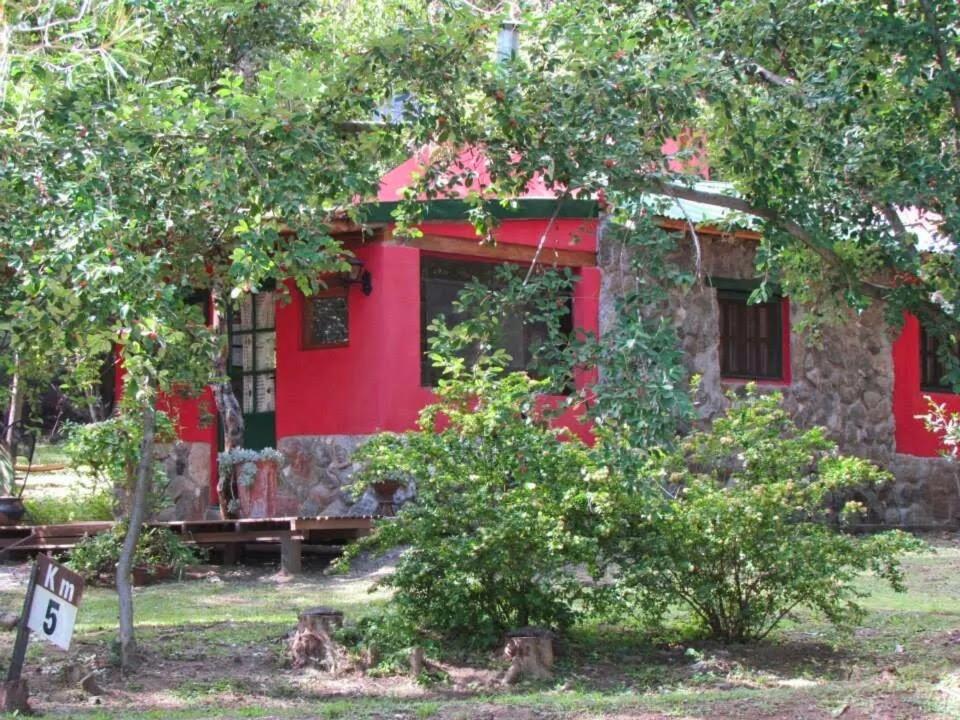 Cabañas spa el petrel - 5