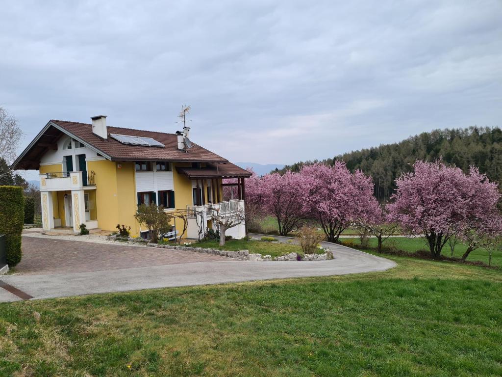 Casa Solaris - 1