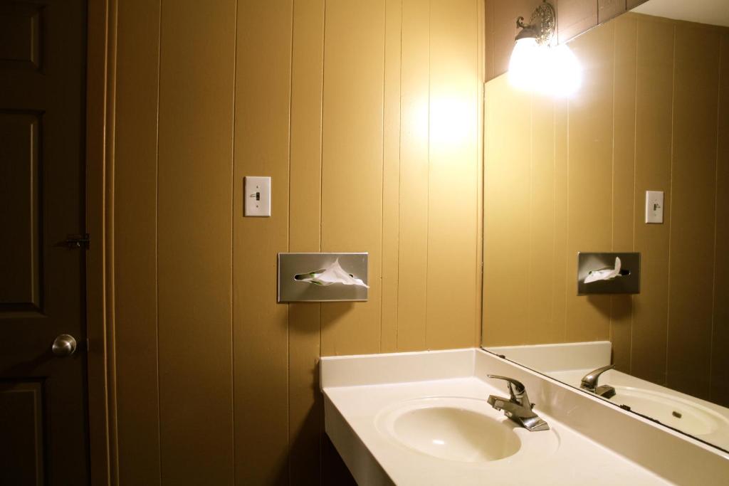 Executive Inn Goliad photo