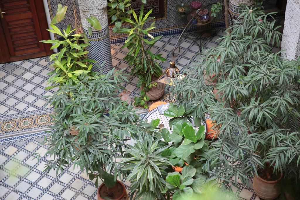 Riad Al Bartal photo