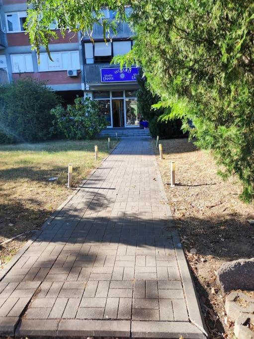 Magenta New Belgrade - 5