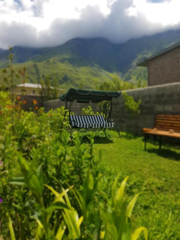 Cozy House Kazbegi photo