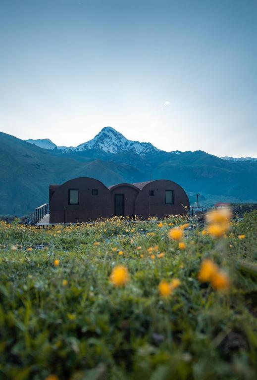 Kazbegi Glamping photo