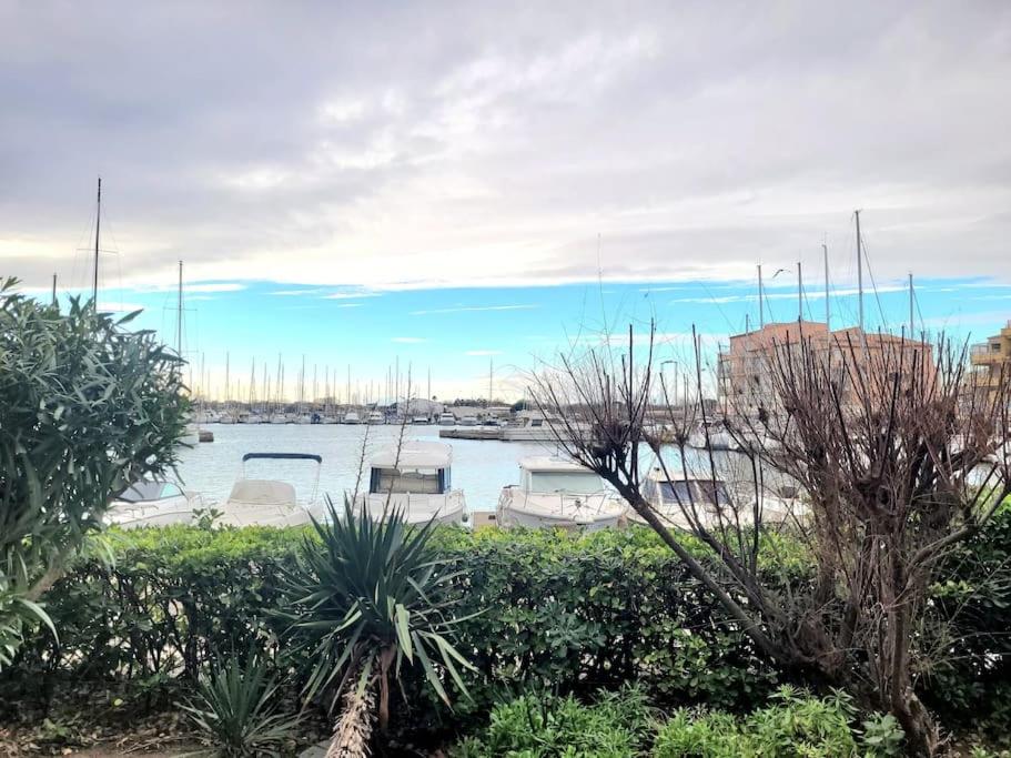 Bel appartement sur le port avec jardin - 1