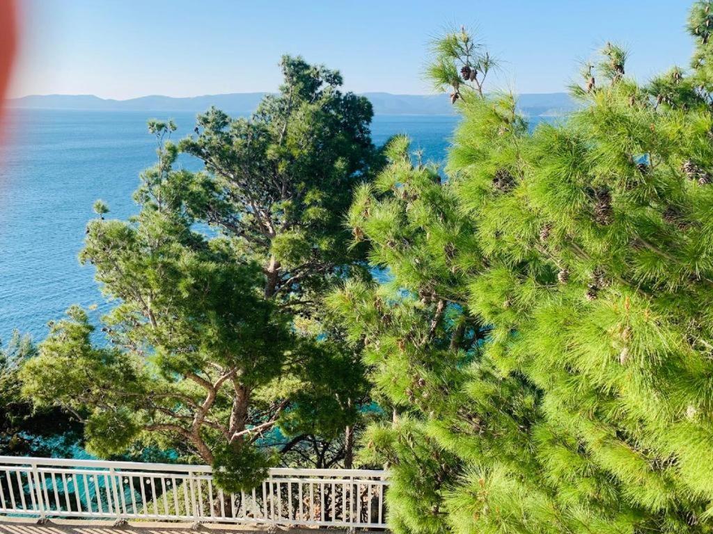 Adriatik Paradise photo