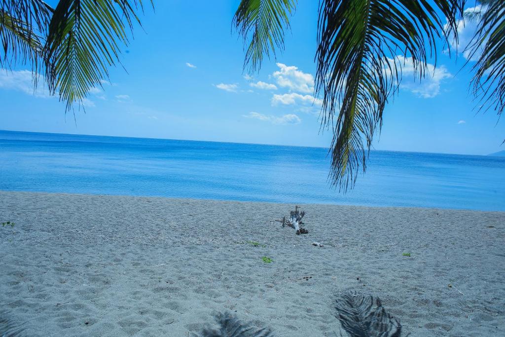 Sea World Club Beach Resort & Dive Center photo