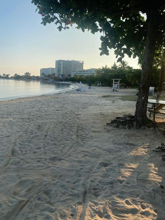 Turtle Beach Towers Condo photo