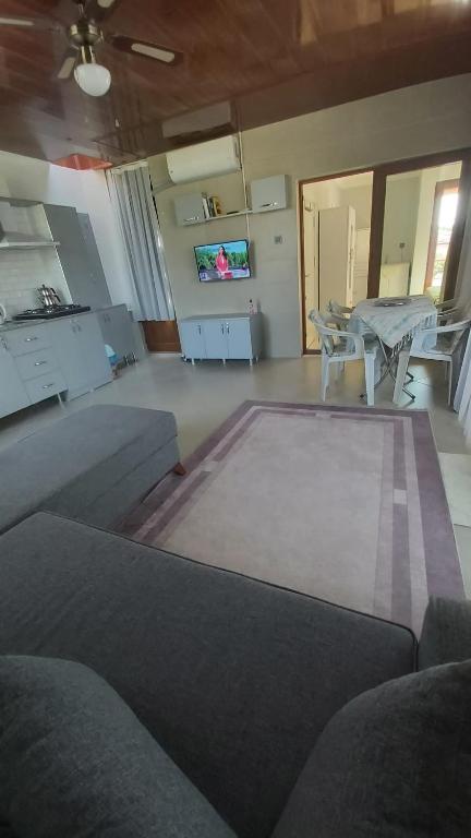 Altinoluk Denize 50 m 1+1 yeni daire