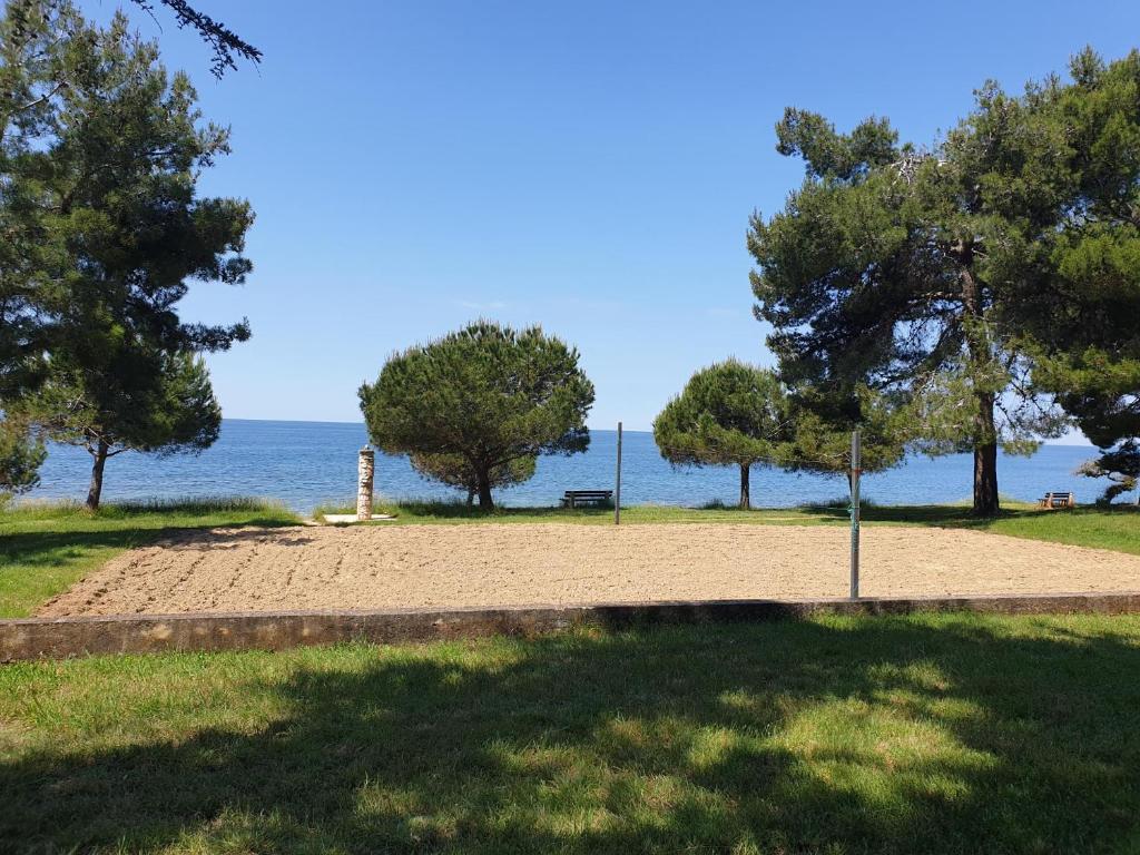 Family Bungalow Pineta photo