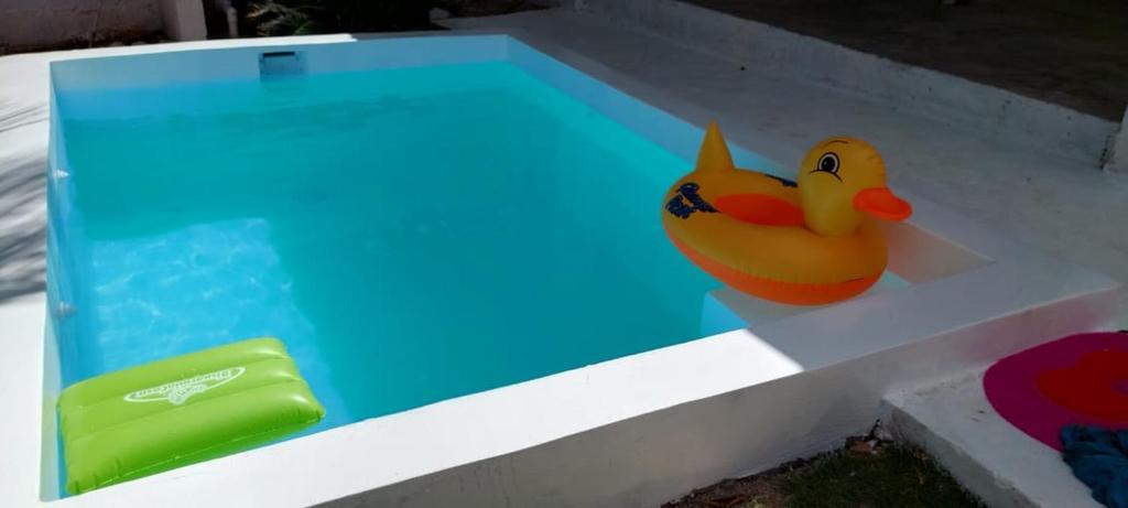 Apto Los Blancos, a dos Minuto de los Patos photo