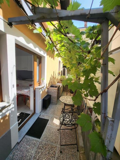 Apartma Sončnica, Izola