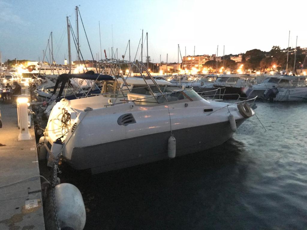 Bateau Nirvana 7,6 m - 2