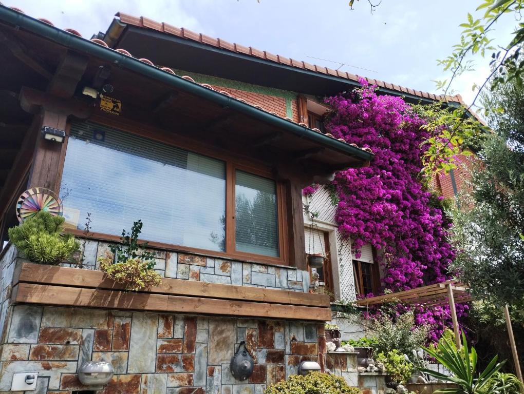 Kostanalu rooms — Hotel in Plentzia