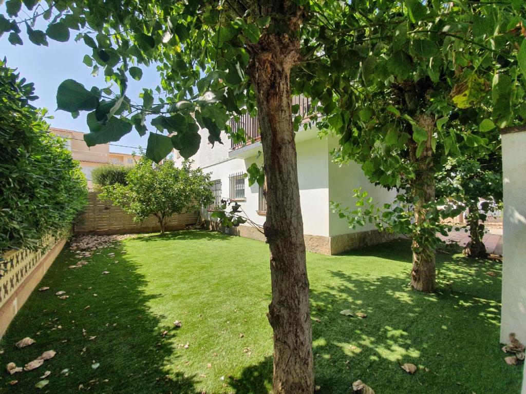 Holiday Home Villa Guapa - 4