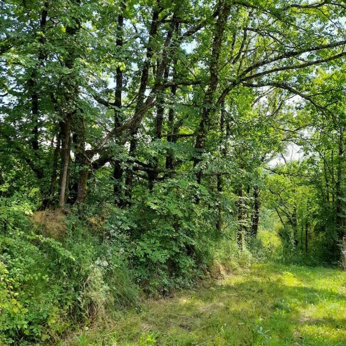 Maison calme a la campagne